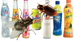 Ngoài ruồi, sản phẩm của Tân Hiệp Phát từng có cả gián